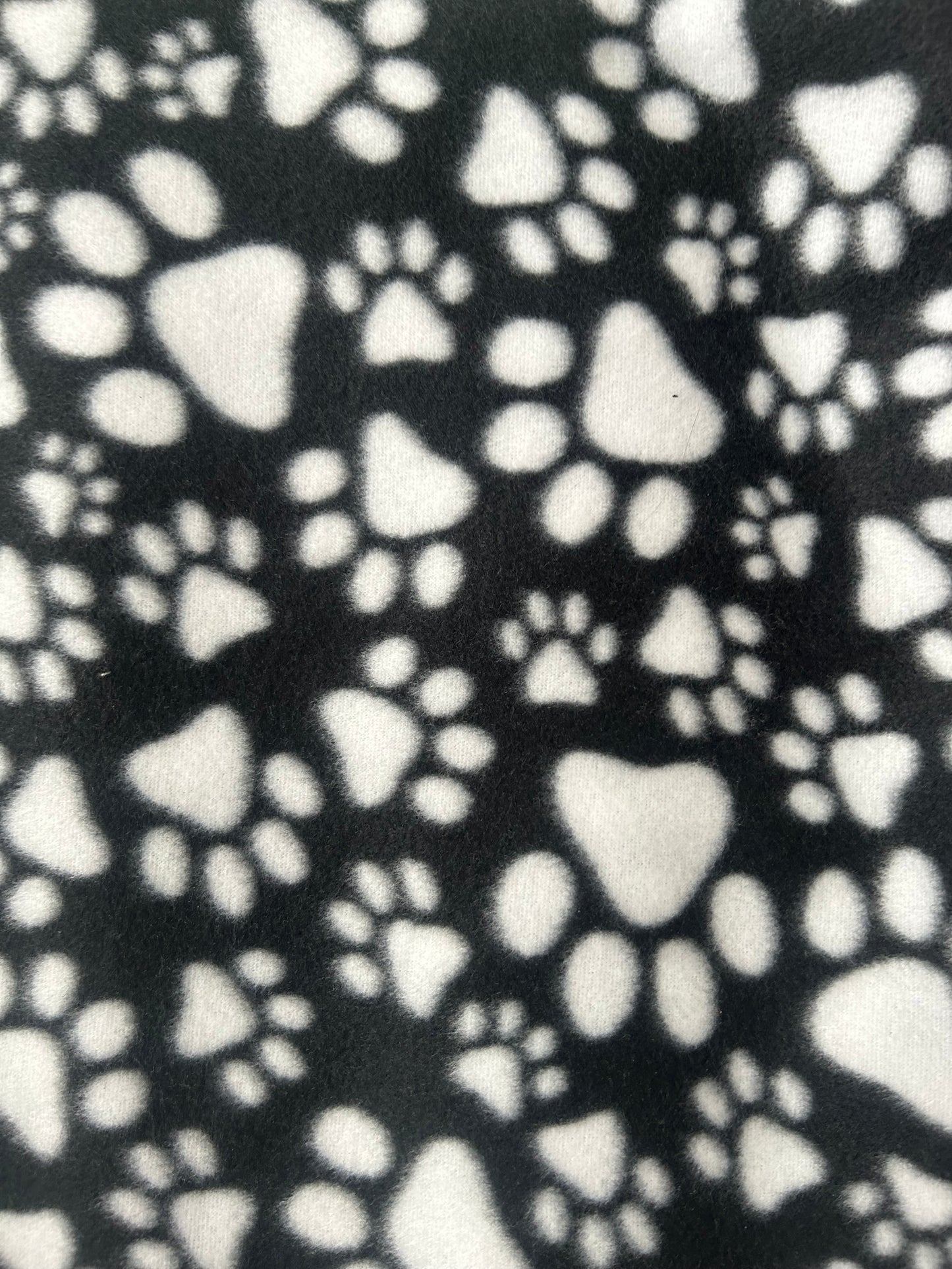 Paw