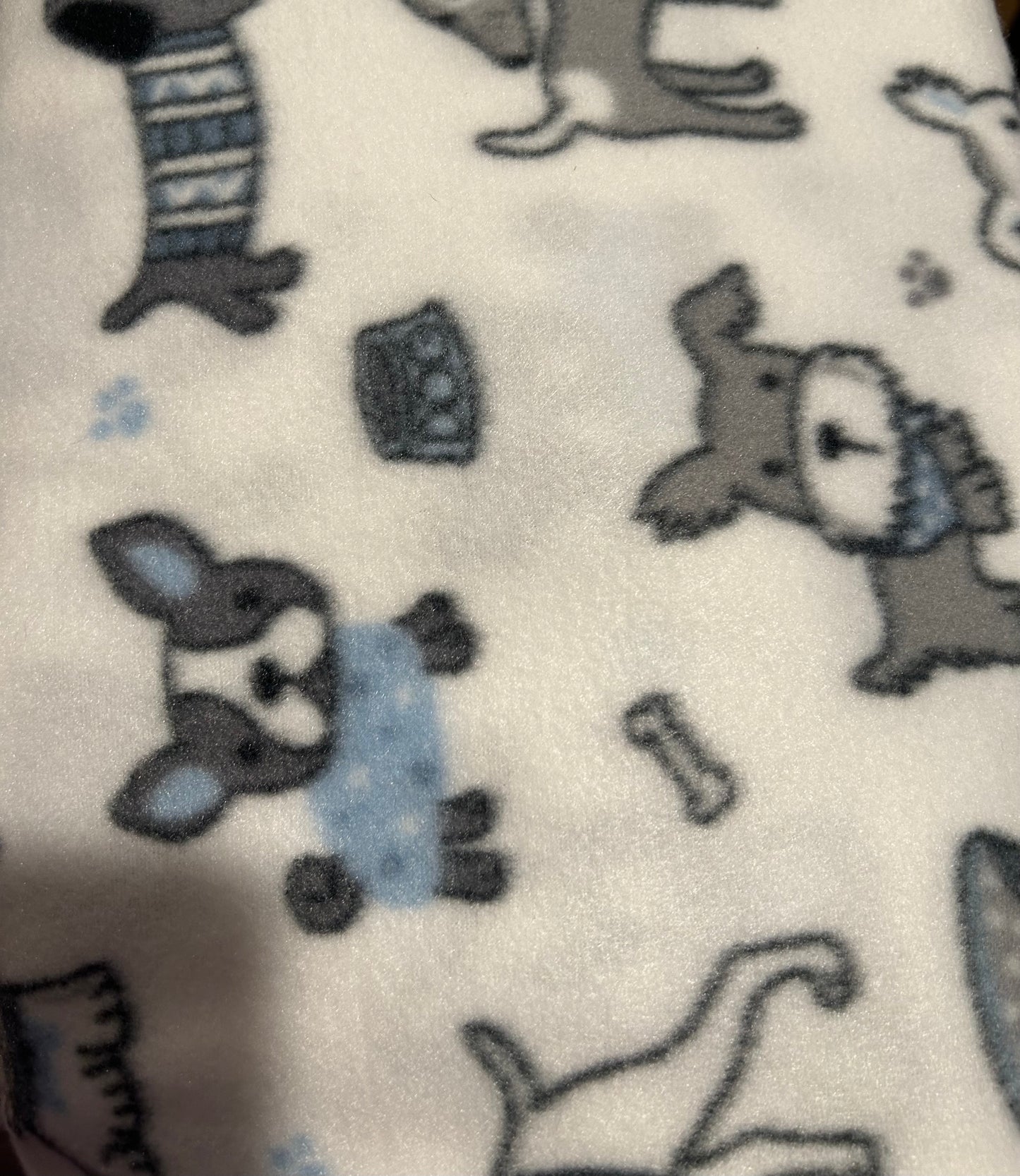 Puppy