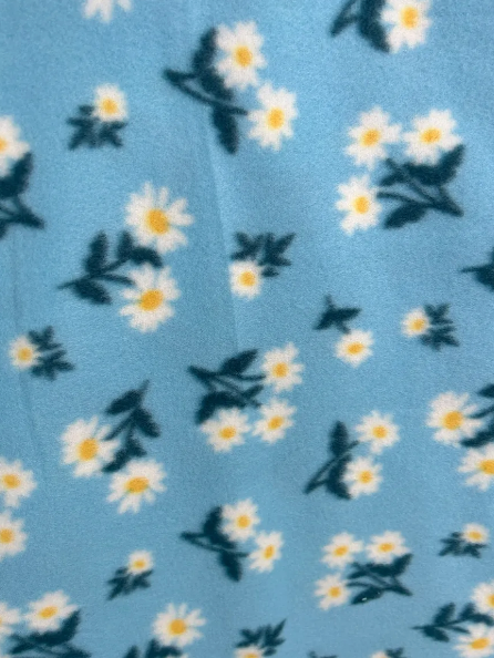 Daisy