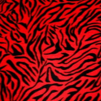 Red Zebra