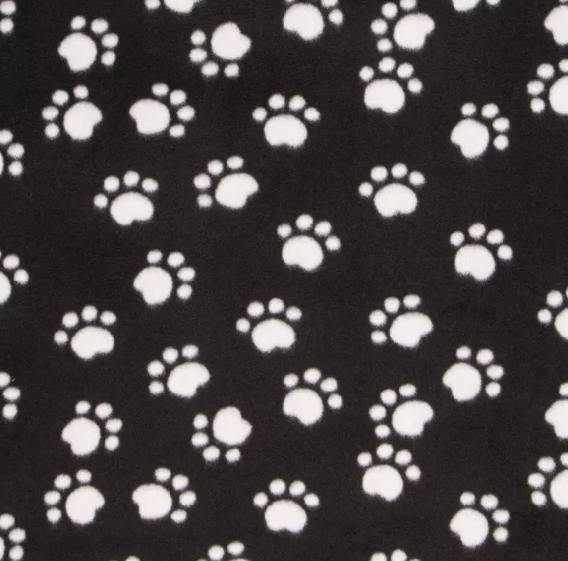Paw Print
