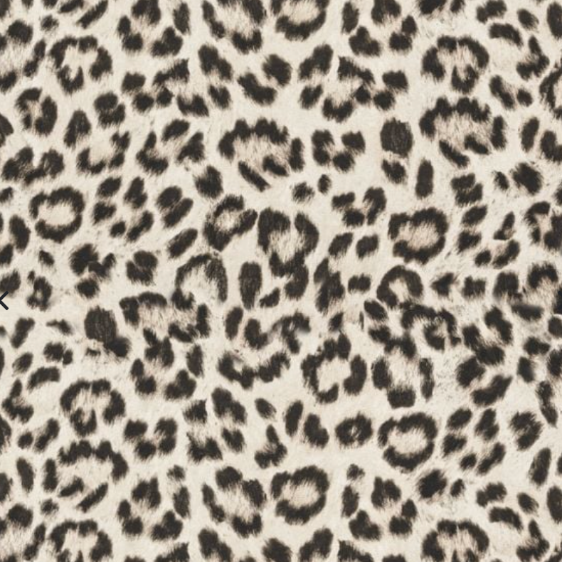 Snow Leopard