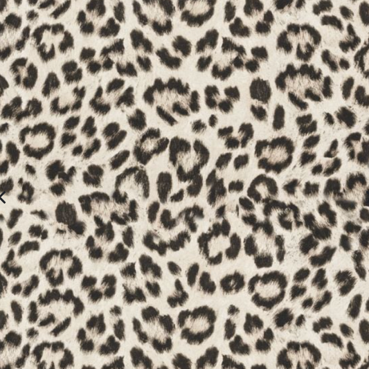 Snow Leopard